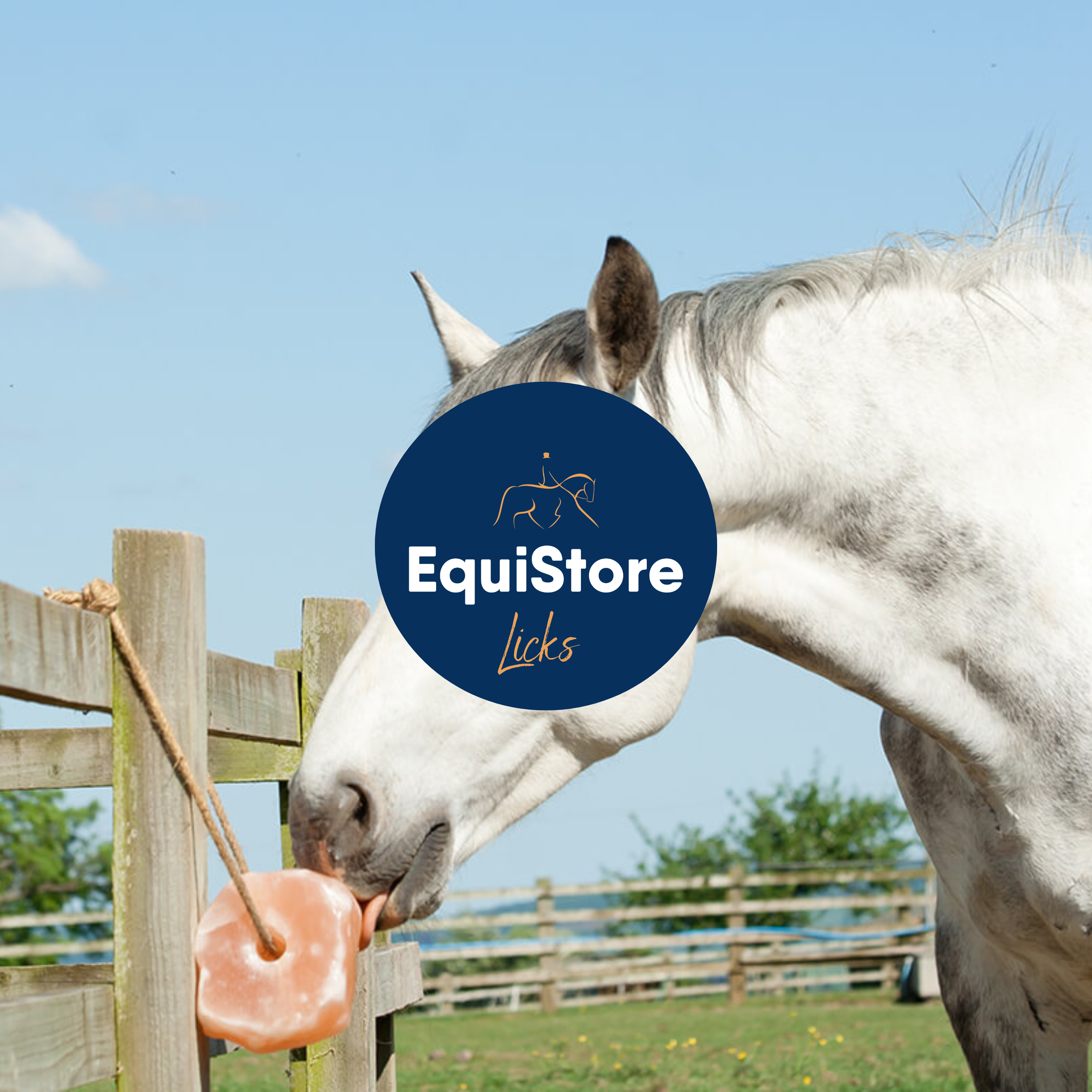 A large choice of horse licks and mineral blocks, available in Ireland from Equistore. 