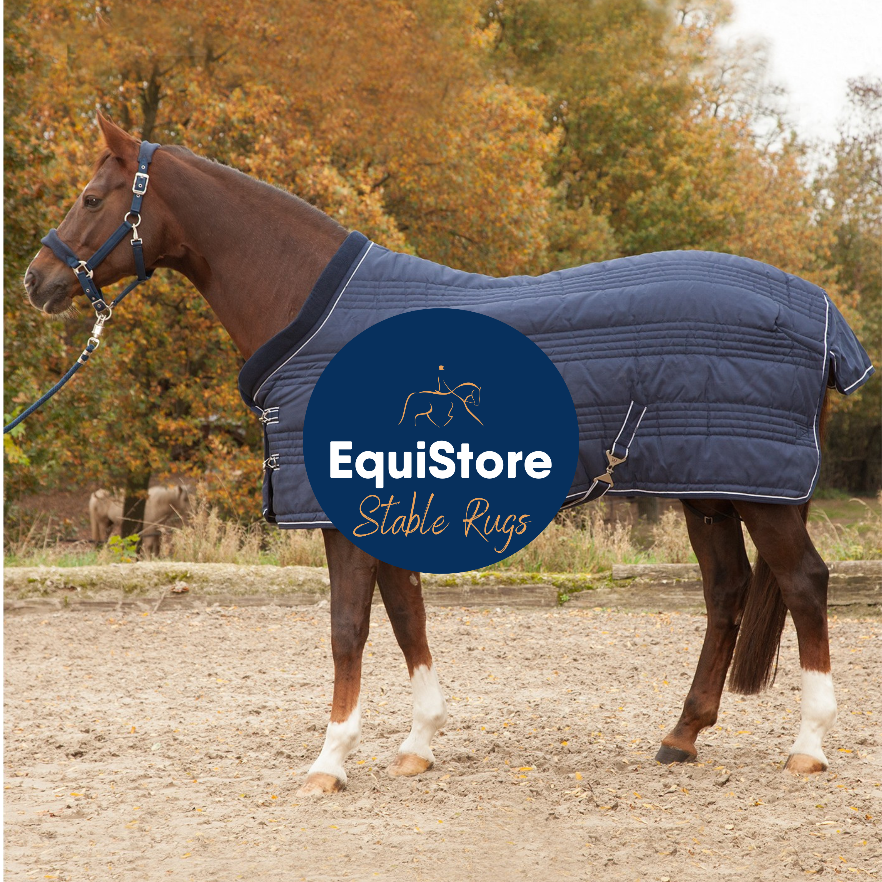 A wide selection of indoor stable rugs for your horse or pony, available in Ireland from Equistore. 