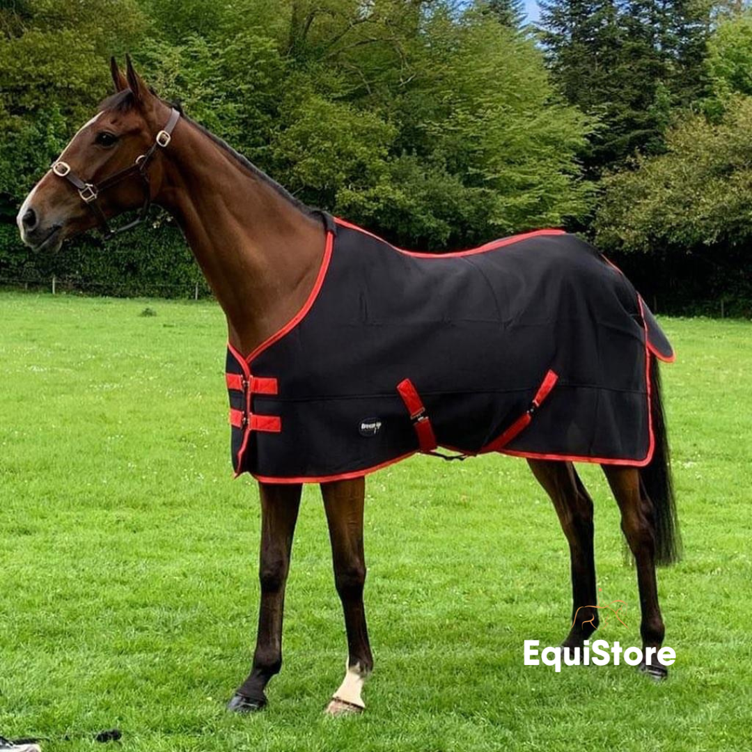 Breeze Up Air Mesh Cooler for horses 