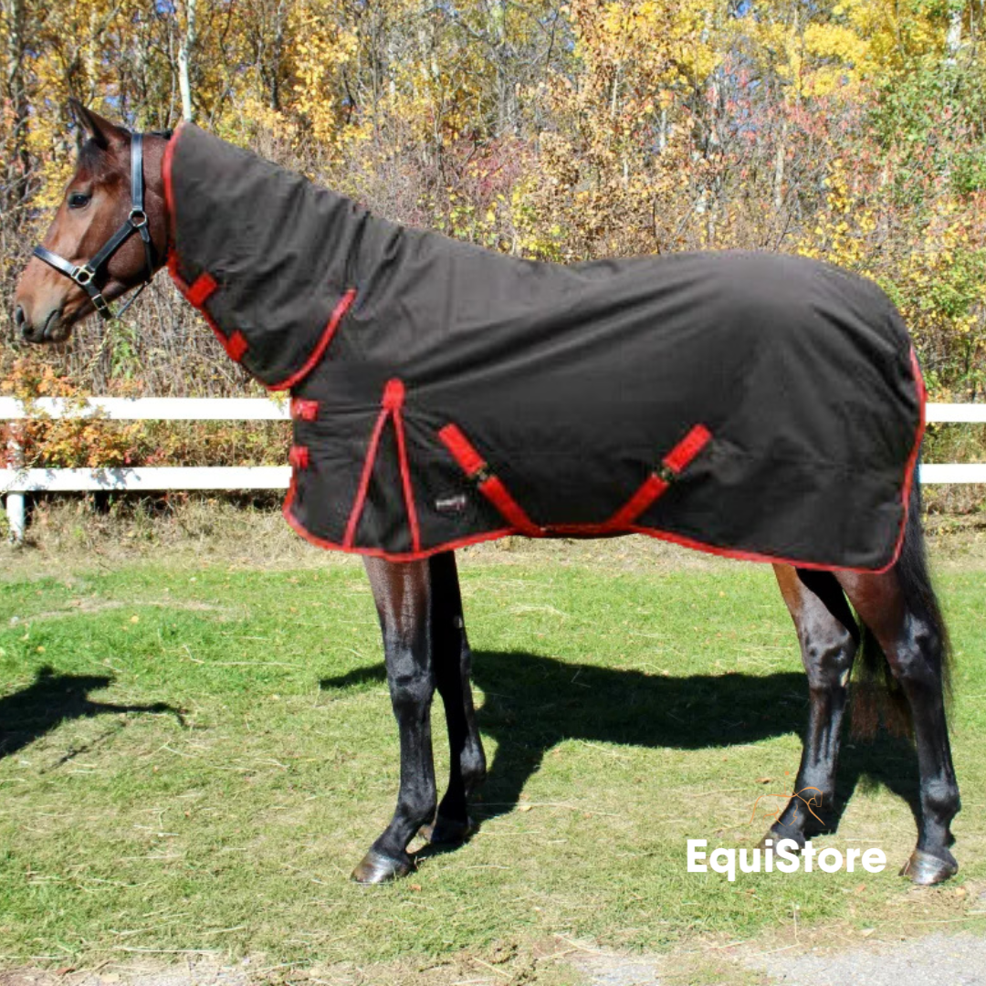 Celtic Equine Breeze Up Turnout Rug for horses - Full Neck 400g