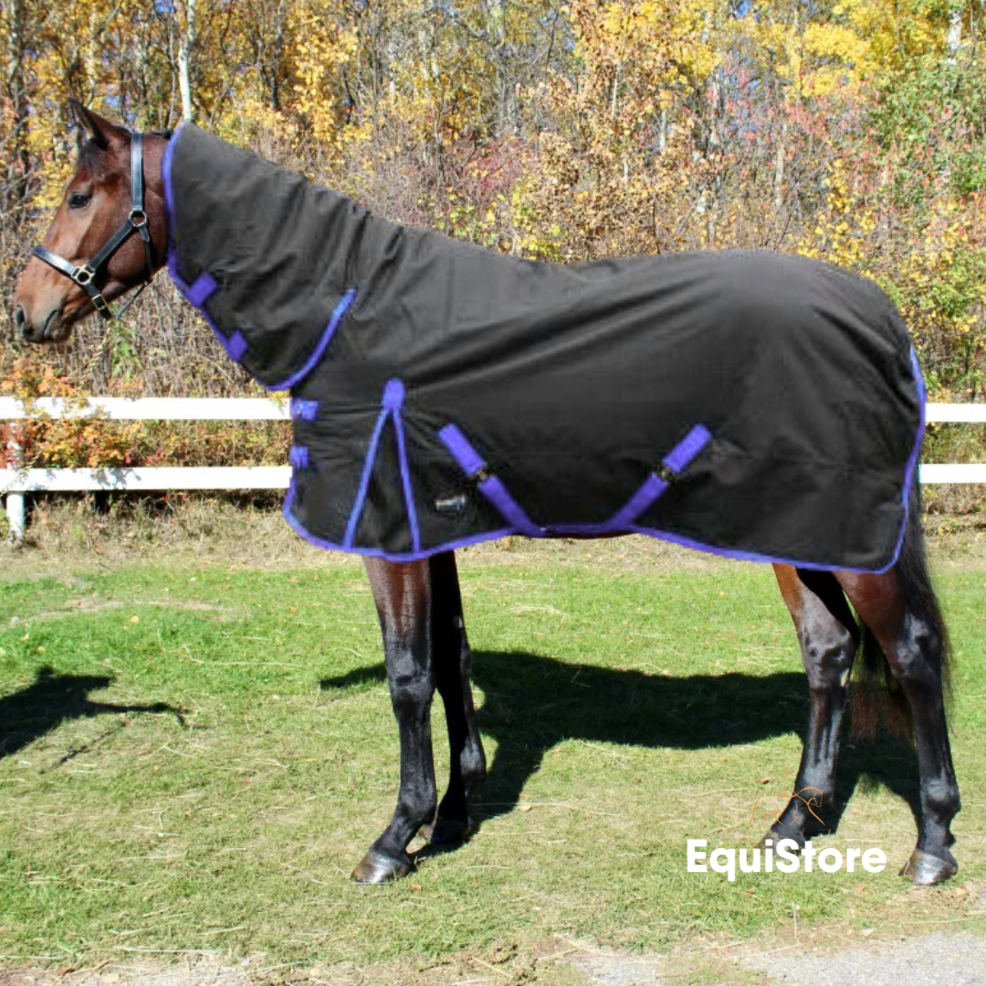 Celtic Equine Grizzly turnout Rug for horses  - Full Neck 250g