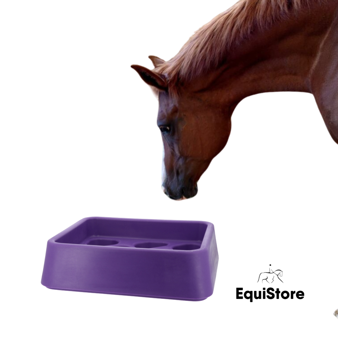 Hippotonic Anti-Gorging Feeder for horses 