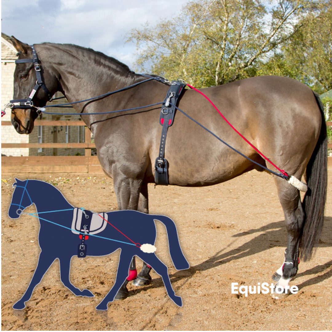 John Whitaker Training System and Roller for schooling your horse in an outline