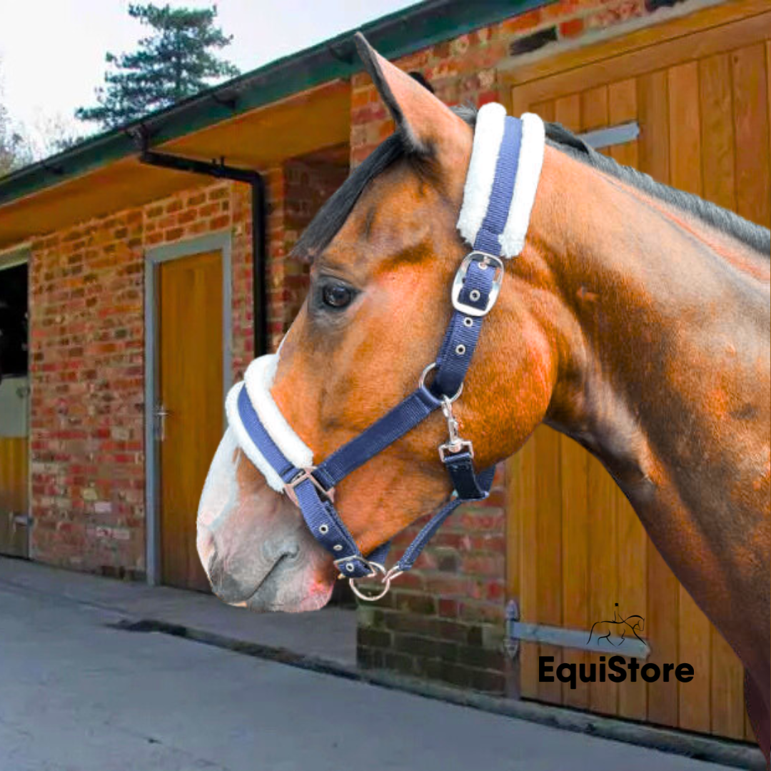 Puissance Headcollar with Fur, for horses and ponies