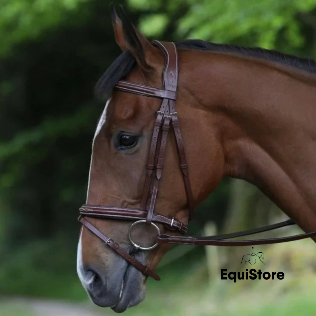 Puissance Hickstead Bridle & Reins