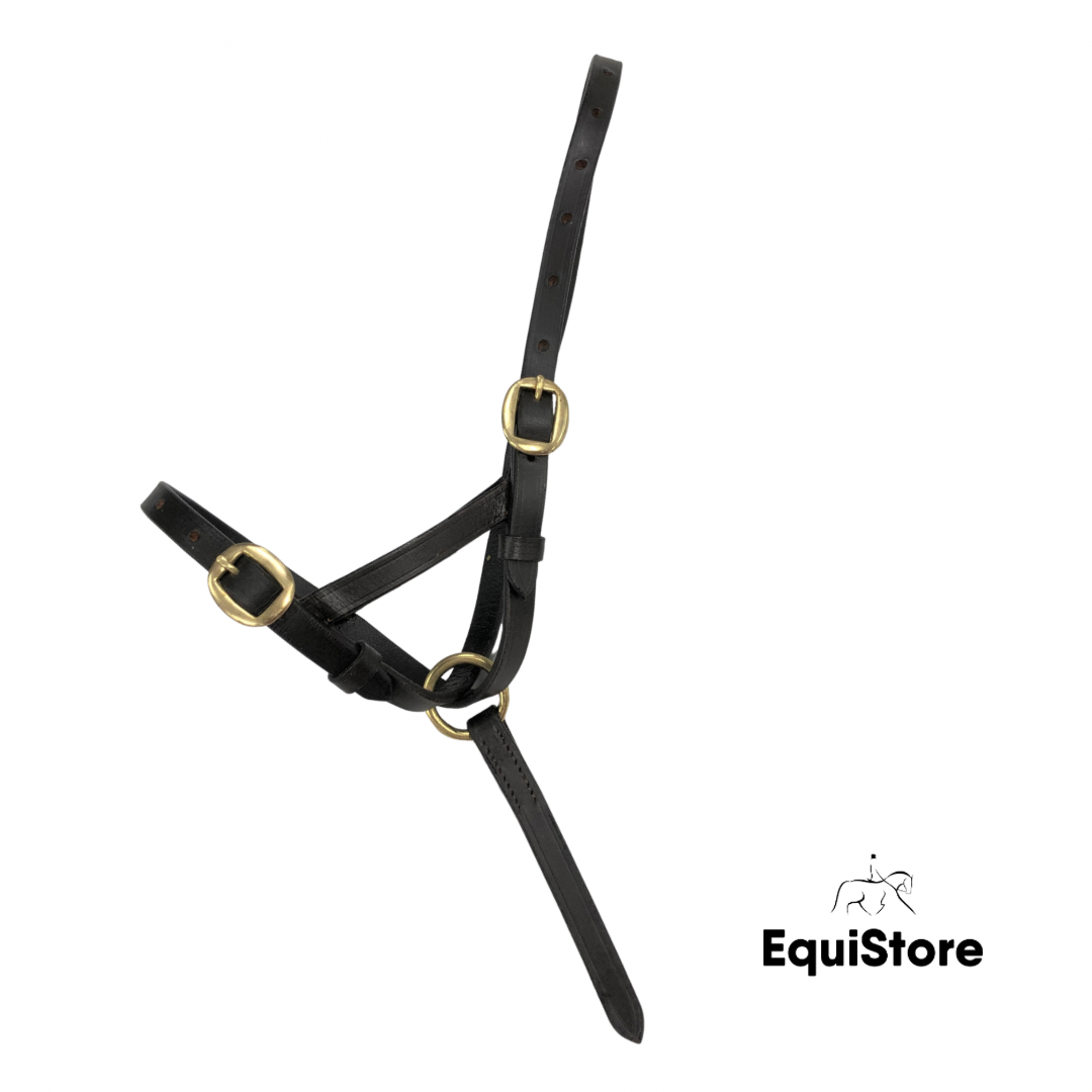 Turfmasters Leather Headcollar - Foal/Weanling