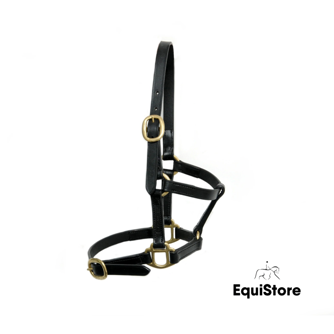 Turfmasters Leather Headcollar - Foal/Weanling