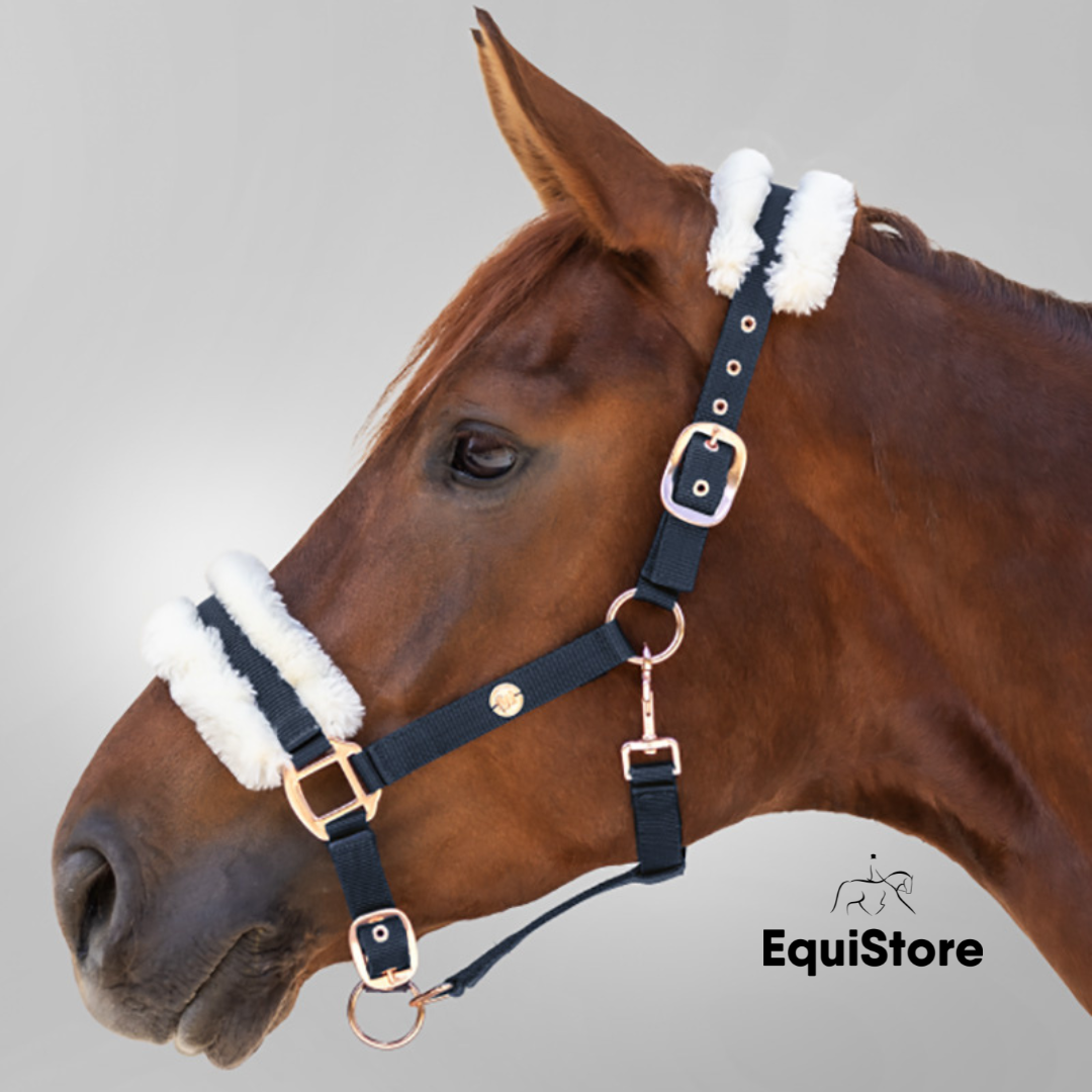 Waldhausen Modern Rose Headcollar