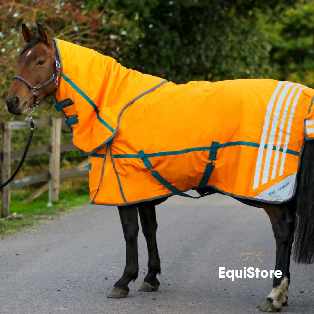 Whitaker Seacroft Combo 200g Turnout Rug (Size 6’0 only)