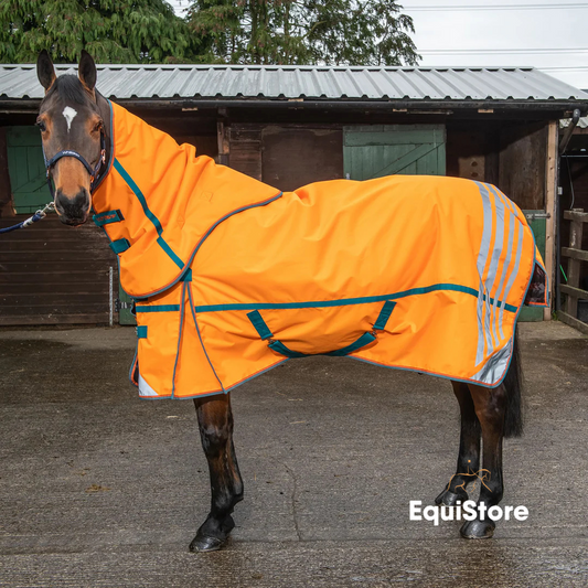 Whitaker Seacroft Combo 200g Turnout Rug (Size 6’0 only)