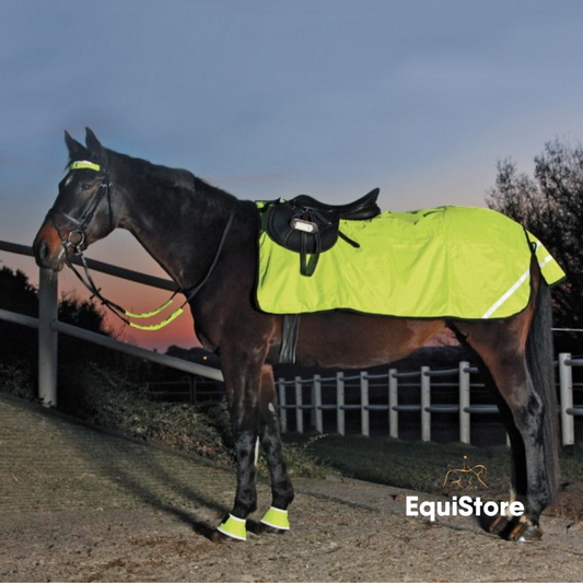 Waldhausen Reflex Exercise Sheet for high viz for your horse or pony